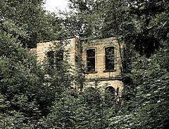 Bild: Umwucherte Ruine