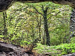 Bild: Höhle 9, Ausblick