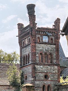 Bild: neogotischer Hauptturm mit Storchennest