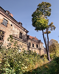 Bild: Lustschloss Tummelhaus