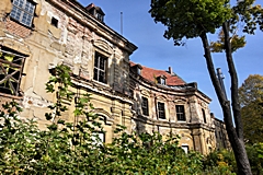 Bild: Lustschloss Tummelhaus