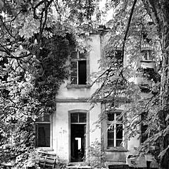 Bild: "Villa Muhr"