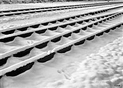 Bild: Gleise im Schnee - 1994